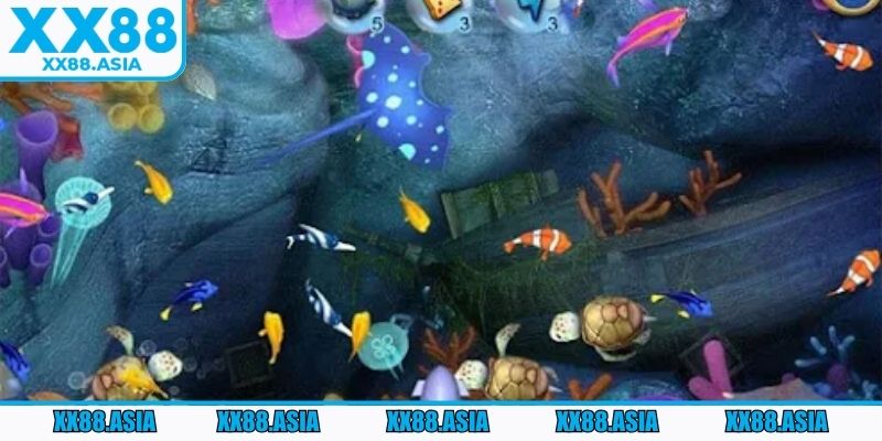 Nắm thuật ngữ khi tham gia săn thưởng đại dương